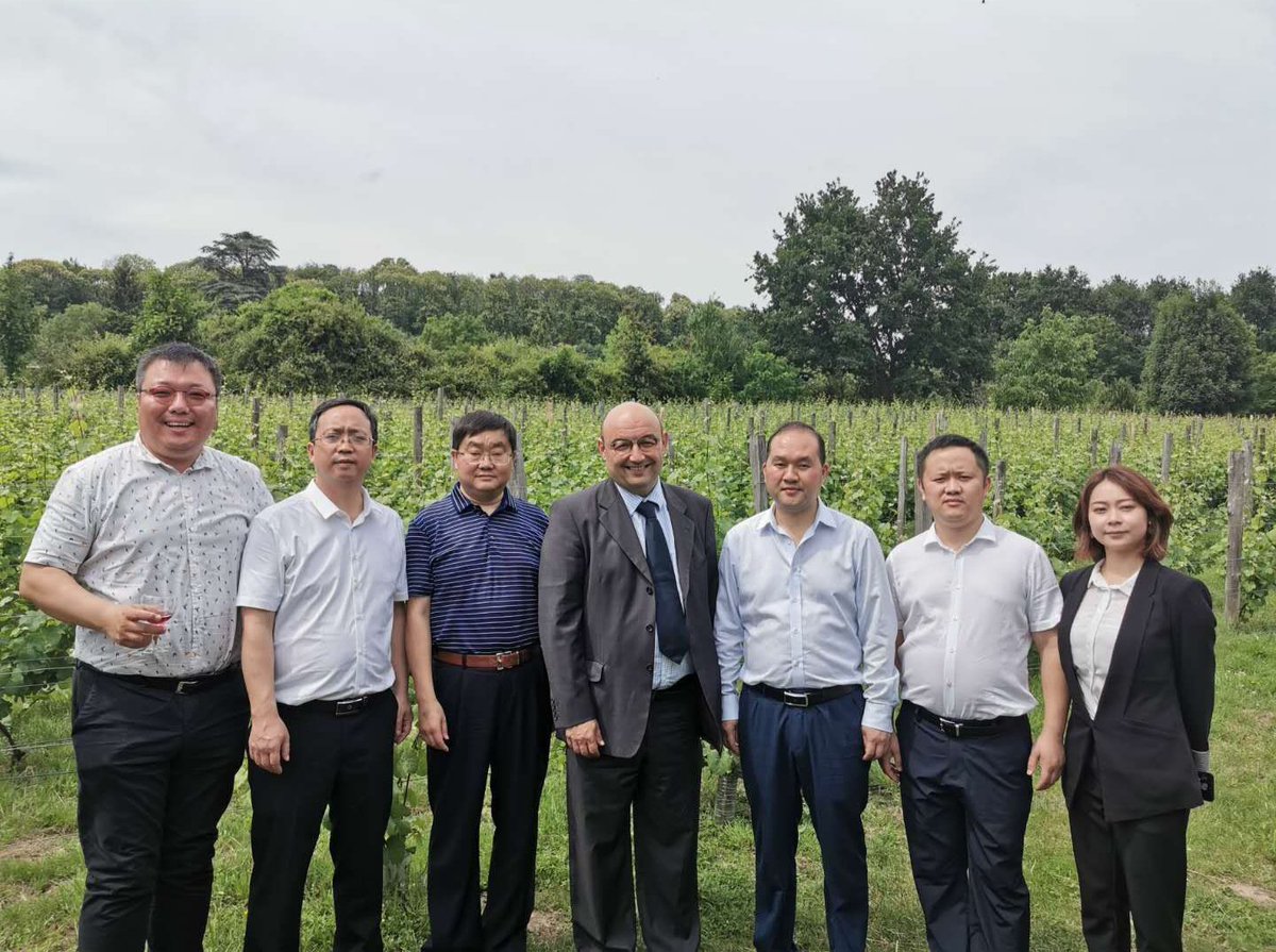 jfbenon's tweet photo. #valdoise / #Chine / #iledefrance / #ParisRegion / #StPrix / #Ceevo95 : Accueil ce lundi de Yongjun Ran, Maire-Adjoint de la ville chinoise de #Renhuai (Guizhou) par Gérard Bourse, Maire-Adjoint de Saint Prix, pour présenter la stratégie viticole - 
https://t.co/SwG53iA6Mv https://t.co/xZv3fFPXCa