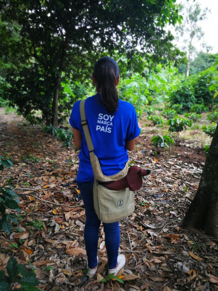 lalolitasv's tweet photo. Cuando lo tuyo es ir de #aventuras ves como te cuelas para que te lleven 😁🐶 #ElSalvador #petblog @pais_marca @soylocalsv https://t.co/WADSCLQbTw