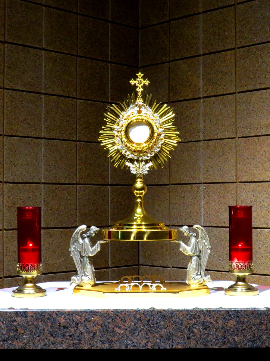 Mission Monday: Did you know we have an Adoration Chapel that is open nearly 24/7 for parishioners to pray with Jesus in the Holy Eucharist? Our Adoration Committee is looking for regular adorers for Mondays at 2:00 PM and Fridays at 1:00 AM. Check the bulletin for details.