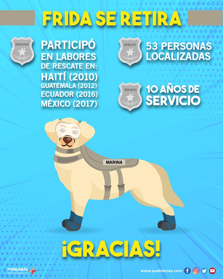 PueblaMas's tweet photo. ¡Se nos metió una basurita en el ojo! 🥺

Para ver más noticias inspiradoras, visita: https://t.co/Vsag0oDzKy

#Puebla #PueblaMás #Frida #PerritaRescatista #FelizLunes #TeVamosaExtrañar https://t.co/8MY6KDIgPE
