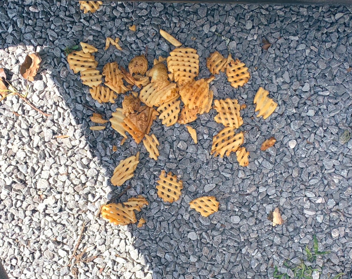 morganwoolum's tweet photo. I was trying to surprise Alex with @ChickfilA for dinner but getting out of the car the bag ripped &amp; everything spilt on the ground. Not one fry was salvageable.😭 https://t.co/DgfwR5MlJN