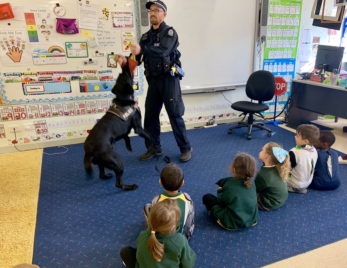 CoolgardiePol's tweet photo. PD Jake made a special visit to the kids at Coolgardie CAPS School as part of community week this morning. The little officers also loved playing in the Police vehicle and making police hats. #coolcops #coolgardiecops #pdjake #fb https://t.co/AES8wsGlZU