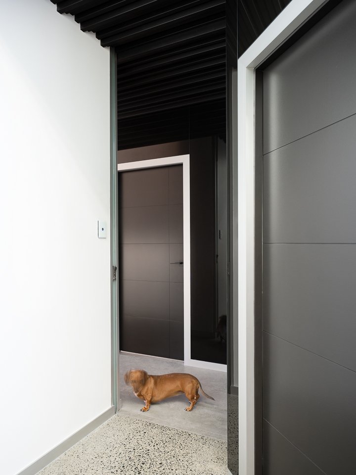 A stylish makeover - From doggy door to dream home - mailchi.mp/cbe0e2d10a7d/a…