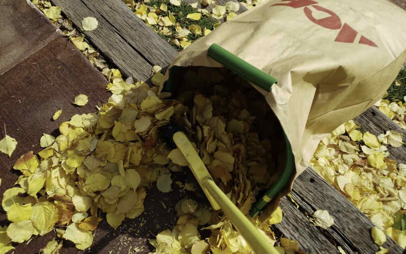 GardenJunkie1's tweet image. Looking for a product that makes fall yard clean up a little easier? Check out the Leaf Gulp &amp;gt;&amp;gt;bit.ly/2QFsONu #leafgulp #gardencleanup #gardenmaintenance #GPReview #productreview #leaves #gardeningproducts #yardcleanup