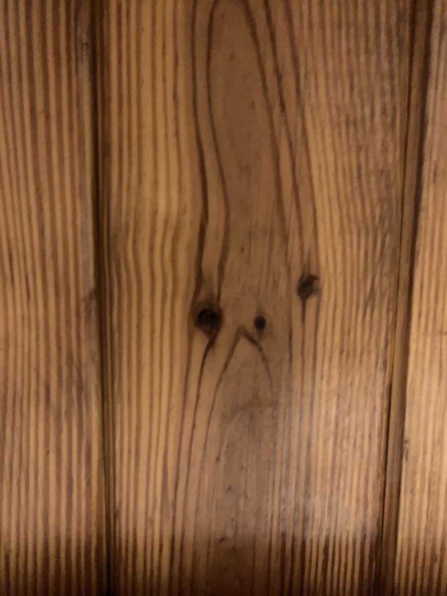earlyanimator's tweet photo. grumpy dog in wood https://t.co/fsPwbZOTl1