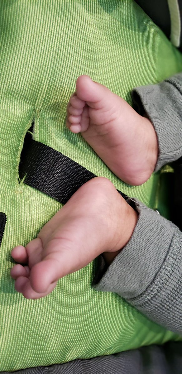 Toronto Police Talent Acquisition tweet media