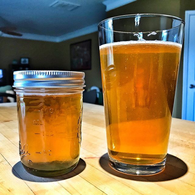 Honey the color of beer and beer the color of our honey. It’s a great time of year. 
#Follow #greenbeesnc // #beekeeping #beekeeperslife #bees #honeybees #apiary #ilovemybees #apiculture #beehive #insects #hive #nectar #honey #honeycomb #beeswax #propoli… bit.ly/2IGRS5h