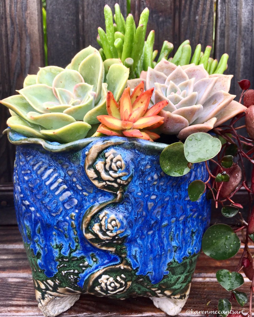 karenmccantsart's tweet photo. karenmccantsart on Instagram
❤️❤️❤️
#succulentpottery
#makingbeauty https://t.co/zmu6s31WtF