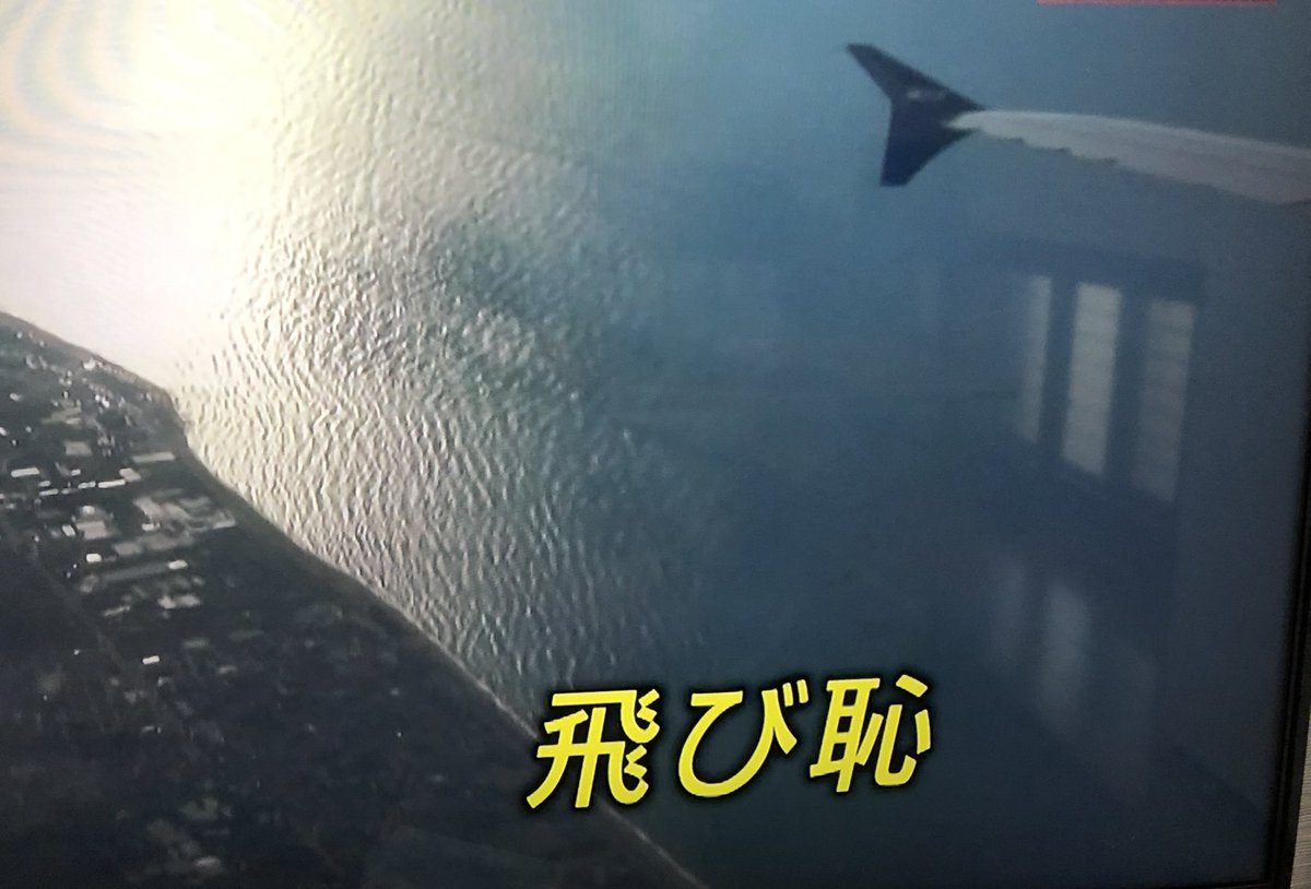 ヨーロッパで流行 とされる 飛行機を使わず鉄道で移動するflygskamという運動に Nhkおはよう日本などが 飛び恥 飛び恥運動 という奇妙な和訳をつけて報道 Togetter