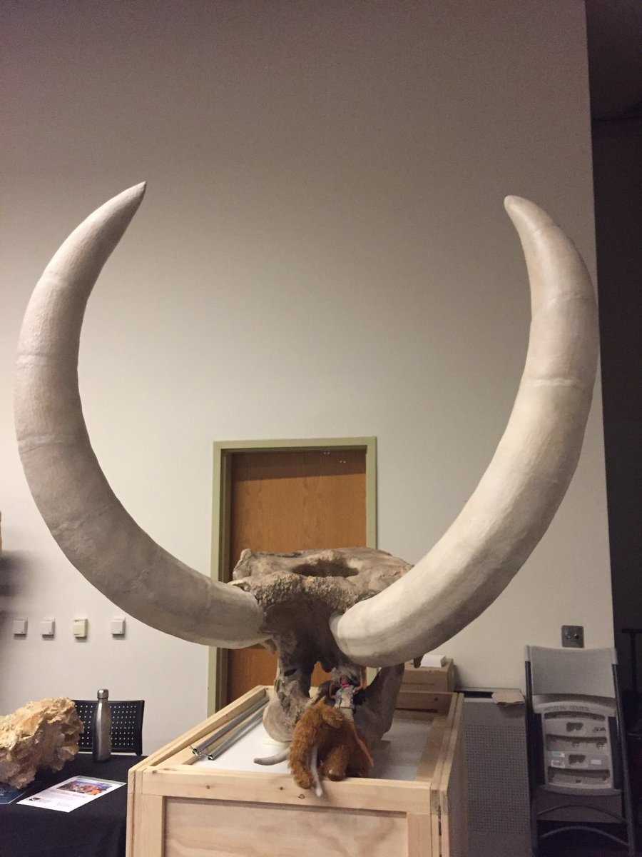 MaxMastodon's tweet photo. Behold, a meeting of the minds with #PaleontologistBarbie! Beware of our education might, @2019napc! #NAPC2019 https://t.co/90evFB7gSo
