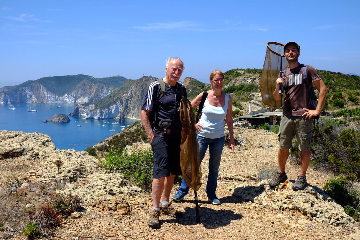 emitruc's tweet image. Sampling Ponza grayling (Hipparchia sbordoni) for endemics.it: genomics of 5 very small Ne italian endemic species #consgen #unife #prin #gb