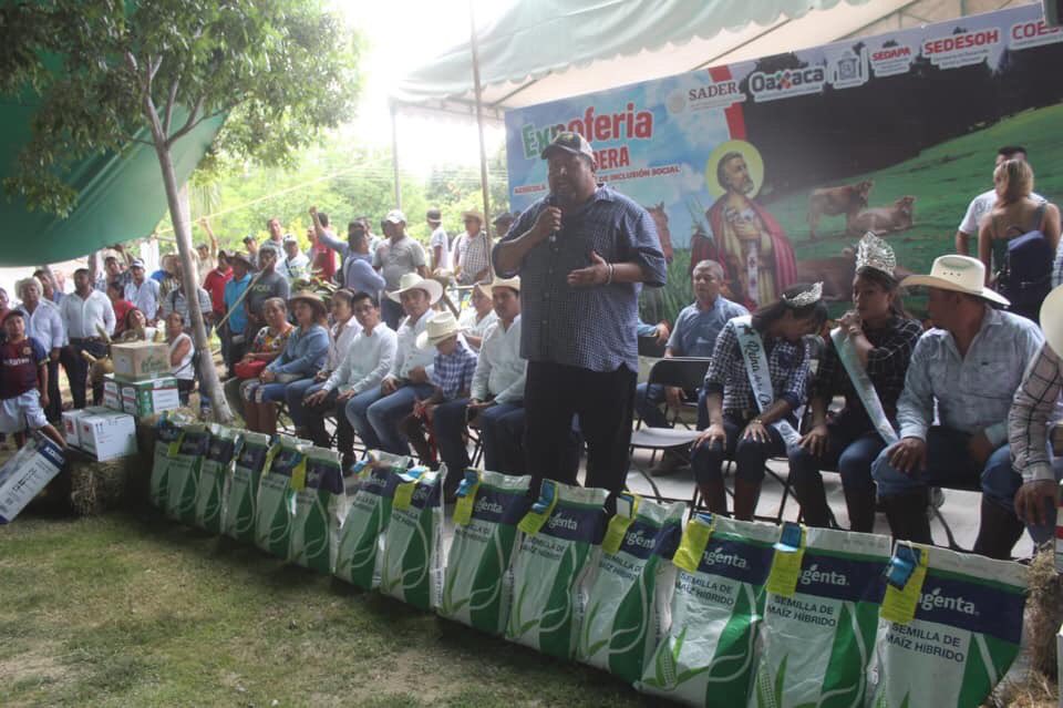 SanPedroMixt's tweet photo. El Presidente Municipal @FREDDYGILPINEDA impulsa el programa Alianza Municipal; semillas de maíz híbrido, herbicidas y bombas aspersoras fueron subsidiadas al 50% del costo para beneficio de los agricultores.
Agradecemos el apoyo del Gobernador del estado Mtro. @alejandromurat. https://t.co/BPD6HtJAnT
