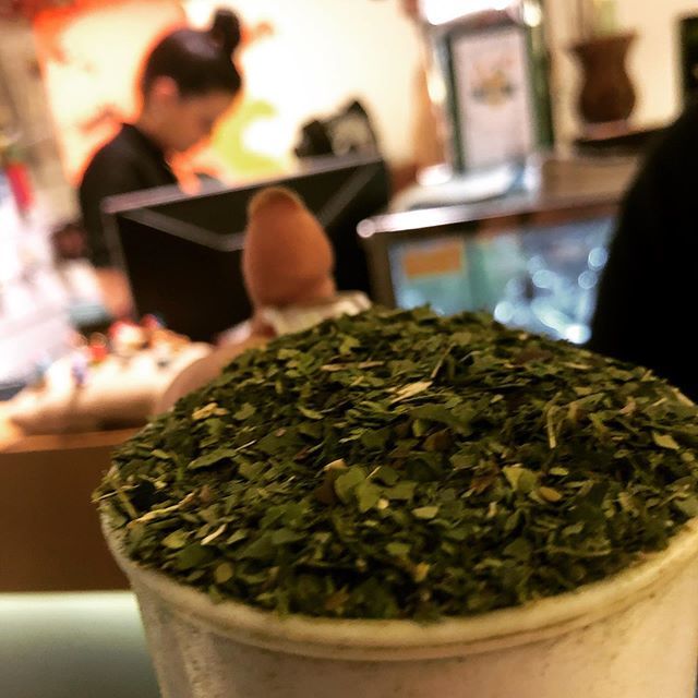 drdistilling's tweet photo. Getting my Evra Mate on in Porto Alegre @merceariadomate . Tomorrow we head into the grass lands of Pampa before hunting mate producers. #yvyterritorios #yvypampa #mate #gin #distillerslife  @yvy.destilaria https://t.co/ZBiBOwpavl https://t.co/NJu3Erd1YB