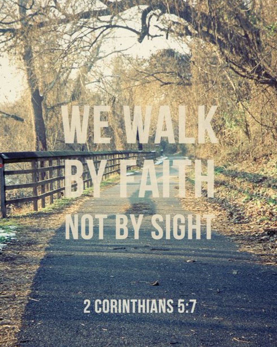 AlmaFisher11's tweet photo. Keep GOING until your harvest appears!

Sometimes the hardest of years come right before the best. 

#Wait
#DontLeaveYourBlessing
#ForItIsHiddenInTheLesson
#KeepOnPressing

Visit: https://t.co/bcPI9rnb3Q to support my latest and largest project. https://t.co/svfjwCVfCi