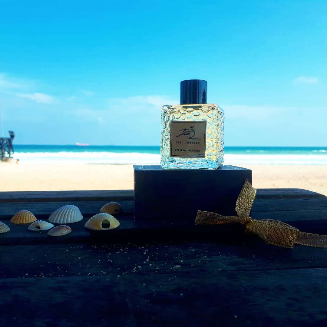 scentsofjune's tweet photo. Scents of June is here to serve you better.
We’re simply irresistible 
#perfumer
#scentlife 
#madeinNigeria https://t.co/rT7MIbcVuT