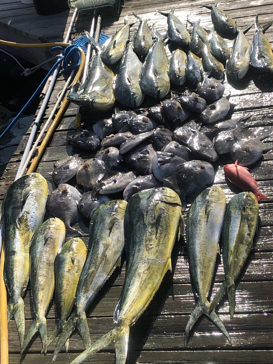 kmacker69's tweet image. Great day on the water.