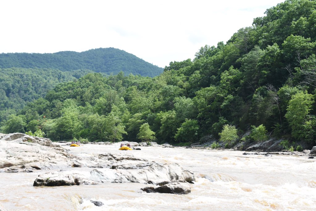 Jennifer Swartz, EdD tweet media