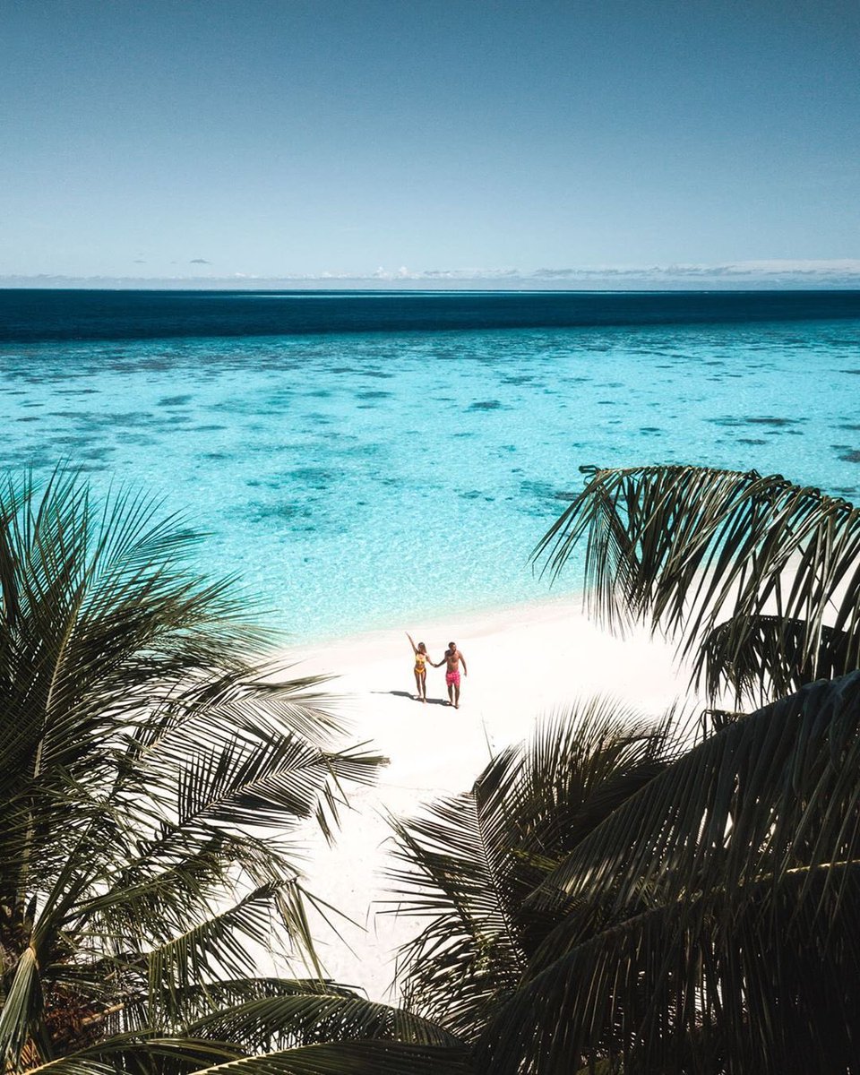 Terra Scenes tweet media