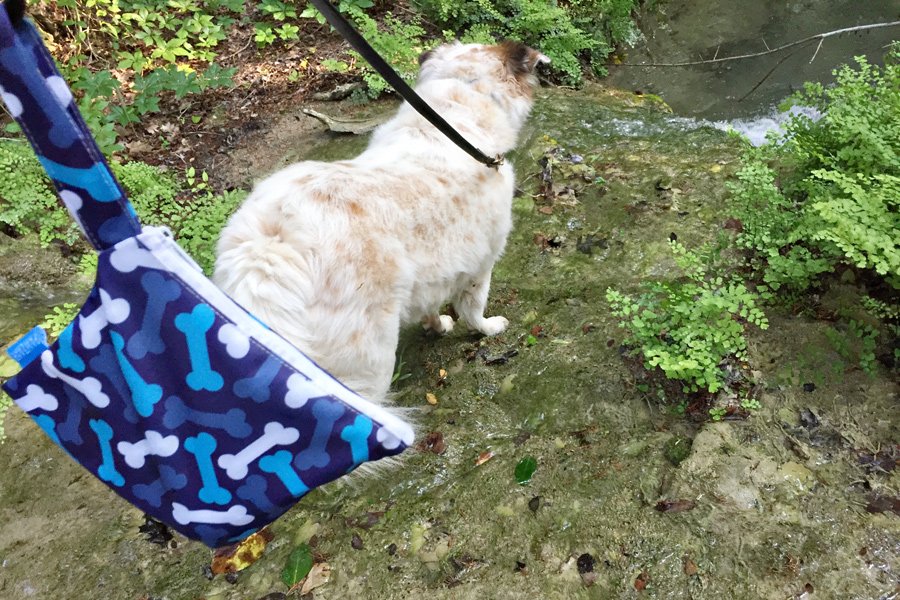 DogTipper's tweet photo. Today's the LAST DAY to enter to #win a stack of @PawZaar stretch bracelets + the 1st day to enter to win our new Yucky Puppy bags! Enter for both: https://t.co/P03OWVlQFL #giveaway #giveaways https://t.co/LTs081HQZc