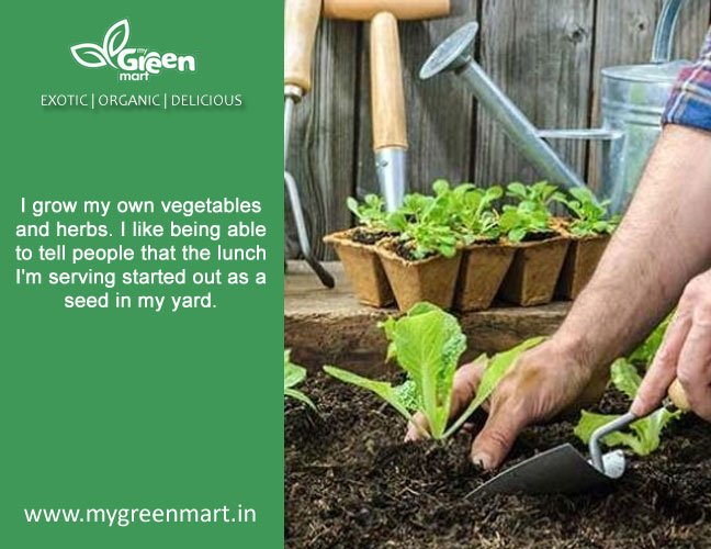 MygreenM's tweet photo. #naturesgift #vegetables #fruits #organic #steve #nagpur #healthyheart #mygreenmart #business #fitness #founder #steve https://t.co/U7rqw3vW7U