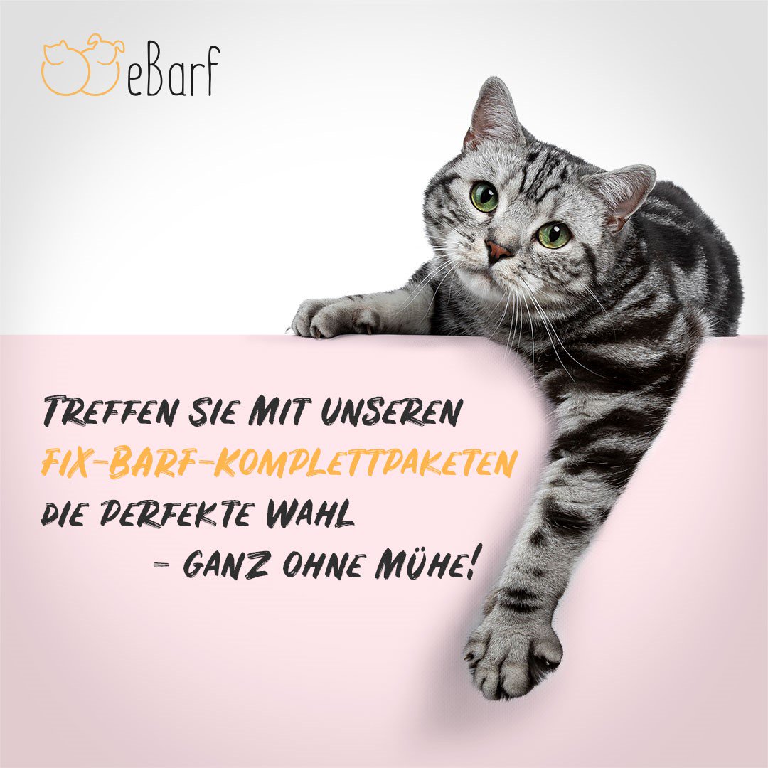 eBarfDE's tweet photo. Damit auch eure Katzen 😺 in den Genuss unserer Fix-BARF Produkte kommen, haben wir die Fix-Barf-Komplettpakete geschnürt. 📦
Die perfekte Wahl – Ganz ohne Mühe

➡ https://t.co/sRyZSk8OGS

#katzen #Fixbarf #barf #alleinfuttermittel #menüs #katze #frischfleisch #eBarf https://t.co/IkY7CYtkpP