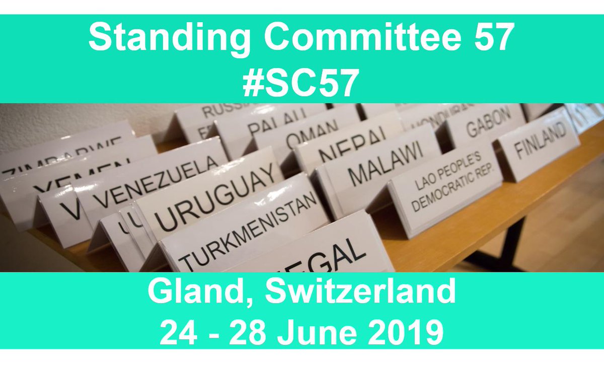 RamsarConv's tweet photo. Day 2 of #StandingCommittee57 will start with statements to give perspecitve about the state of #wetlands, the postive actions underway and highlight what urgent actions to reverse the loss of wetlands. #SC57 https://t.co/DaSClwLGNq https://t.co/tEwuXwQUrj