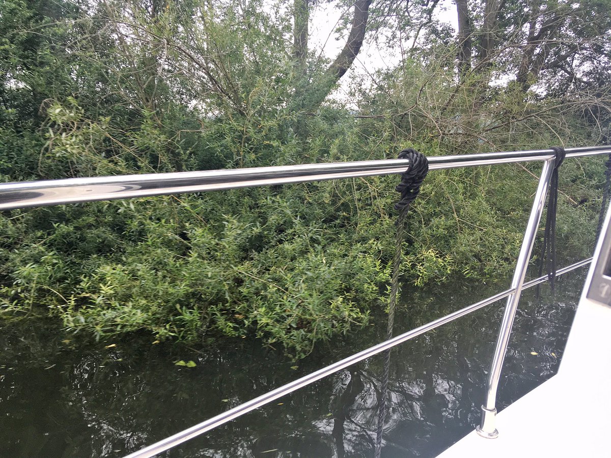 Trees, trees, trees - so many places where trees obstructing navigation - Cookham lock cut (very difficult for two boats to pass - picture), Boulters Lock cut, Maidenhead reach, and boaters report damage due overhanging batches Bray head waiting area.