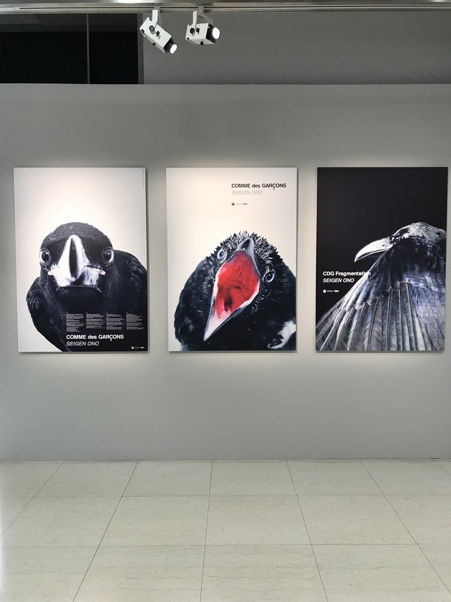 渋谷美術学院 新人賞展 水差し みたいなのとwaterがテキトーで良かった ウインドウはこれが良かった 2本だけど 嗣也さんは自由すぎ マーヴェラス Jagda新人賞展19 井上嗣也 Ginzagraphicgalally Dnp