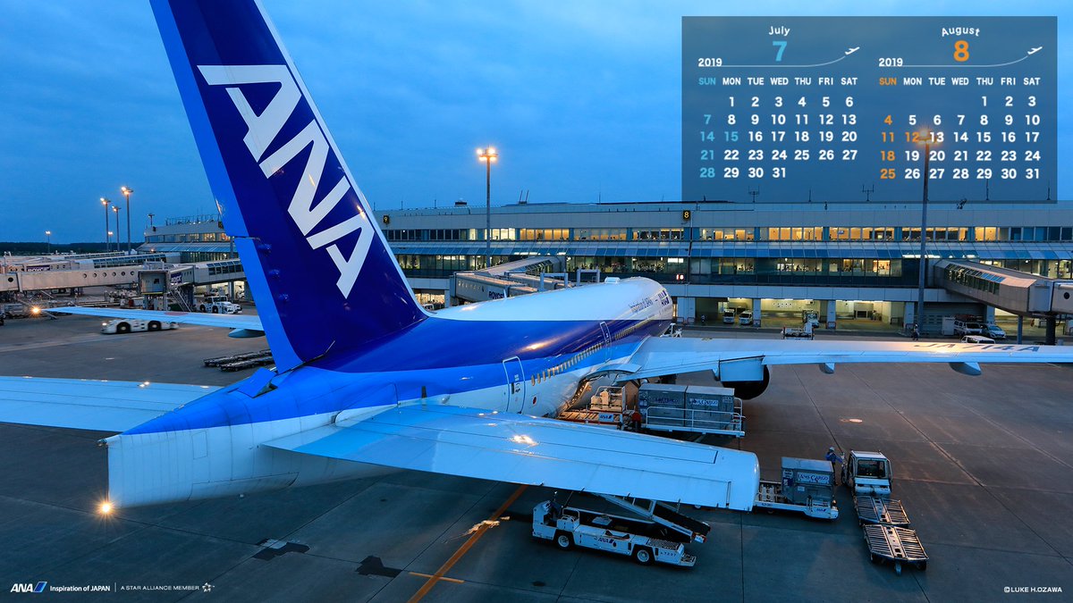 最高飛行機 壁紙 スマホ Ana 美しい花の画像