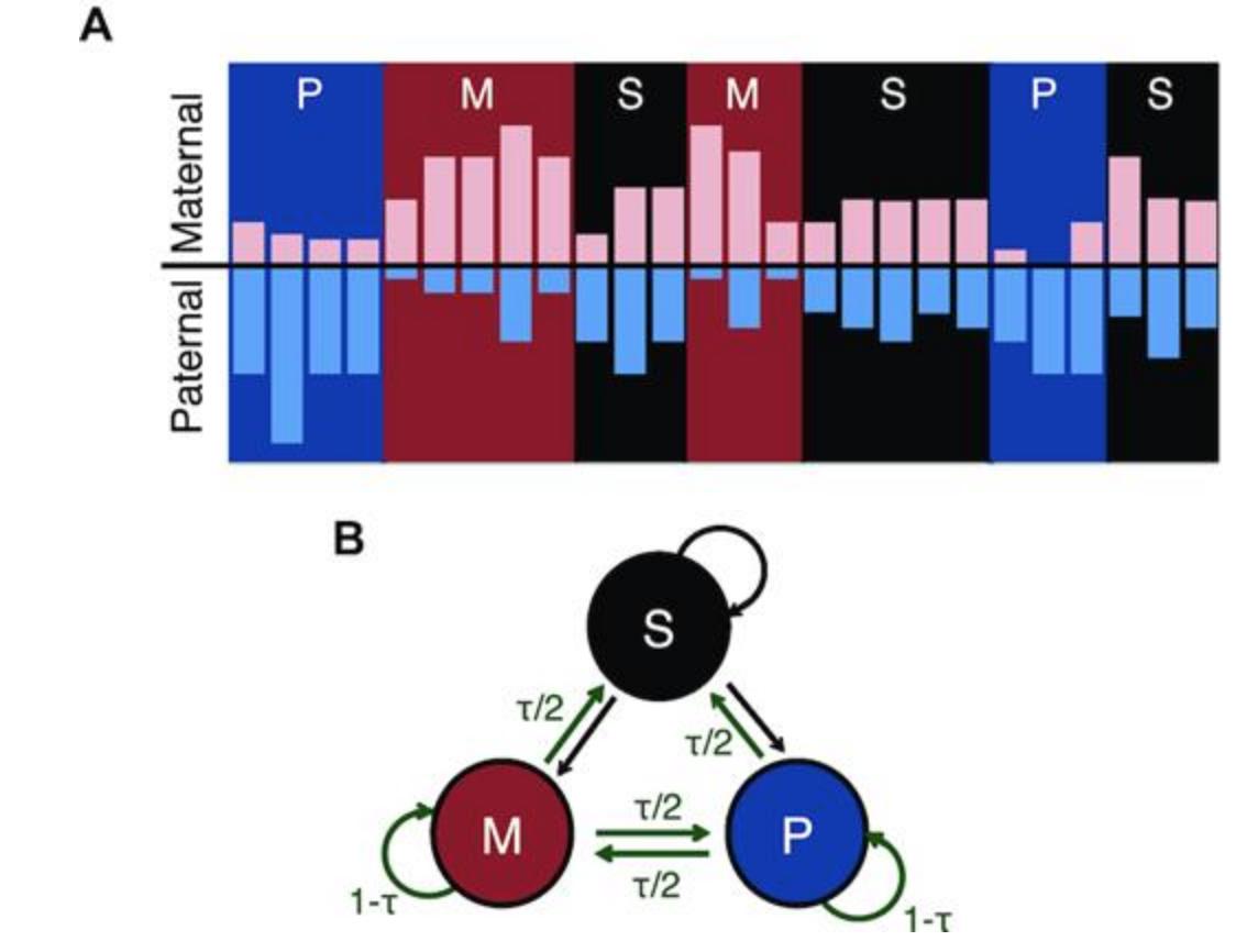 BioDecoded's tweet image. AlleleHMM: a data-driven method to identify allele specific differences in distributed functional genomic marks | Nucleic Acids Research
academic.oup.com/nar/article/47…

#bioinformaitcs