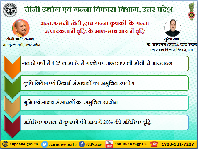 अन्त:फसली खेती द्वारा गन्ना कृषकों के गन्ना उत्पादकता में वृद्धि के साथ-साथ आय में वृद्धि 
upcane.gov.in          
facebook.com/UPCane
bit.ly/2KmgpL8   
Toll Free No-1800-121-3203
#canedepartment