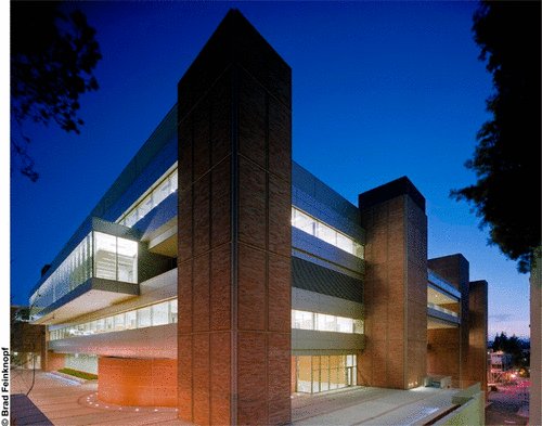 PSWnano's tweet photo. Celebrating #nano #science & technology @UCLA as part of our centennial celebrations #UCLA2019 w @acsnano #editorial https://t.co/v8yojGolnc & virtual issue https://t.co/joBeJlUZNZ by #editors Ali @khademh osseini @CMIT_LA & Andre Nel @UCCEIN Anne Andrews @ACSChemNeurosci & more https://t.co/aUQmMUX5Nt