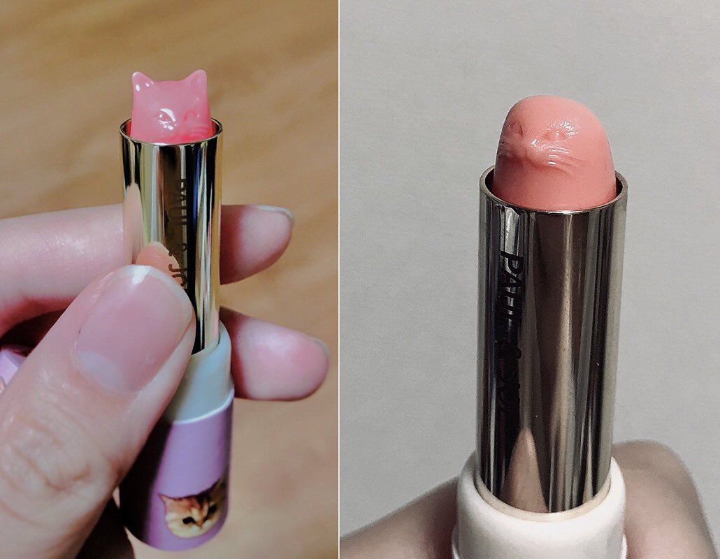 OMFGITSOSCAR's tweet photo. This lipstick starts off as a kitten and turns into a seal after use. 💄😮 https://t.co/7TWvRccHU8