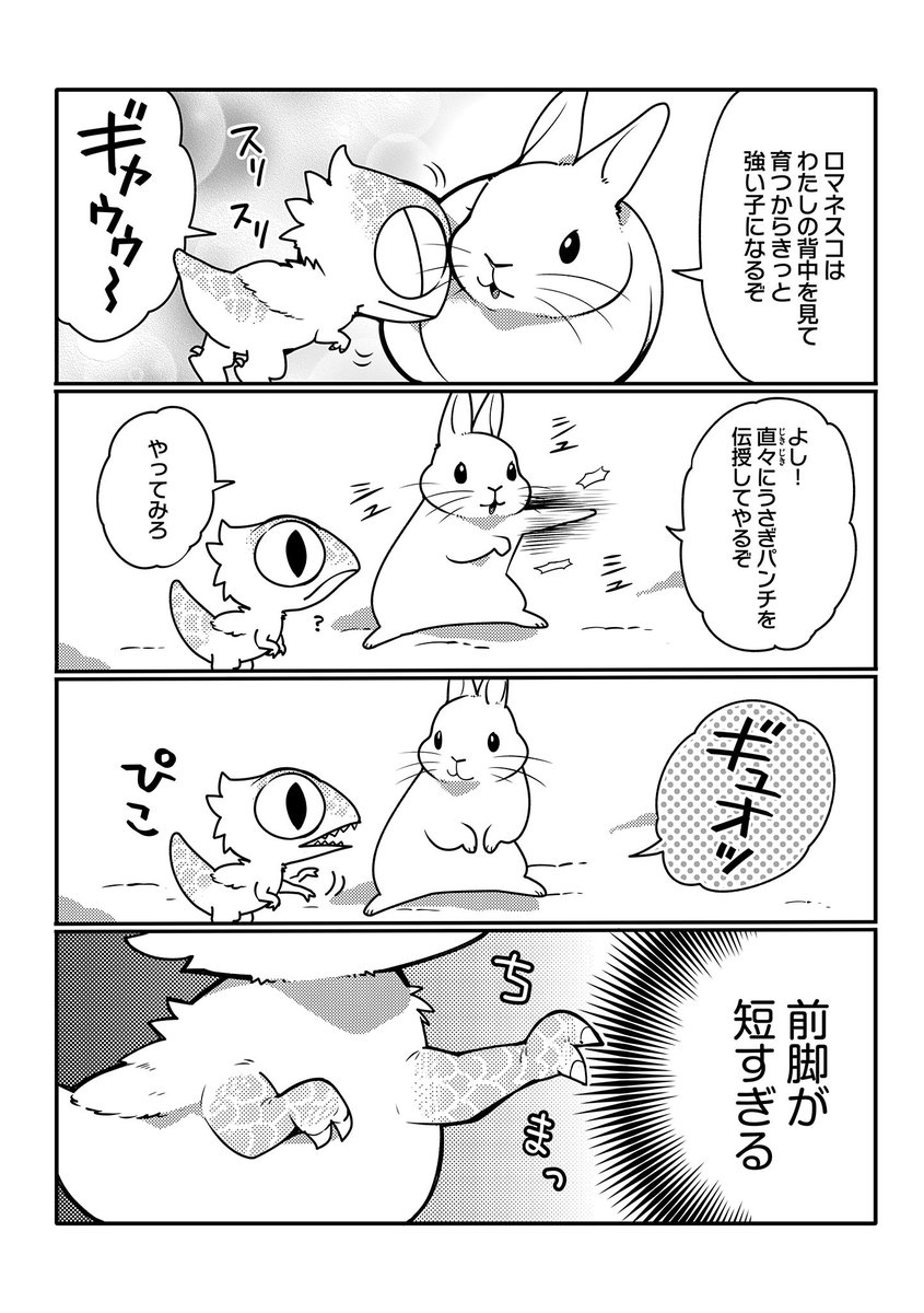 Hugピクシブ リラクトコミックス V Twitter 最新話更新 うさぎは正義 著 井口病院 ボスをママだと思い 後をついてまわるロマネスコ ボスのように強くなるために 色んな技を伝授されて T Co 67sjzdjthl