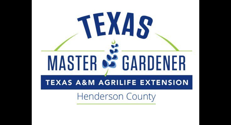 editorNETexan's tweet image. Master Gardeners at Farmers Market thenortheasttexan.com/2019/06/24/mas…