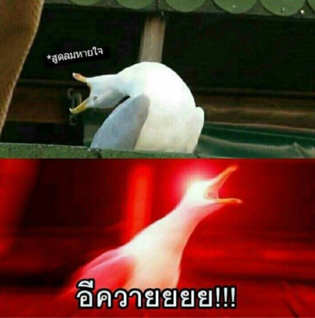 Hoshi tweet media