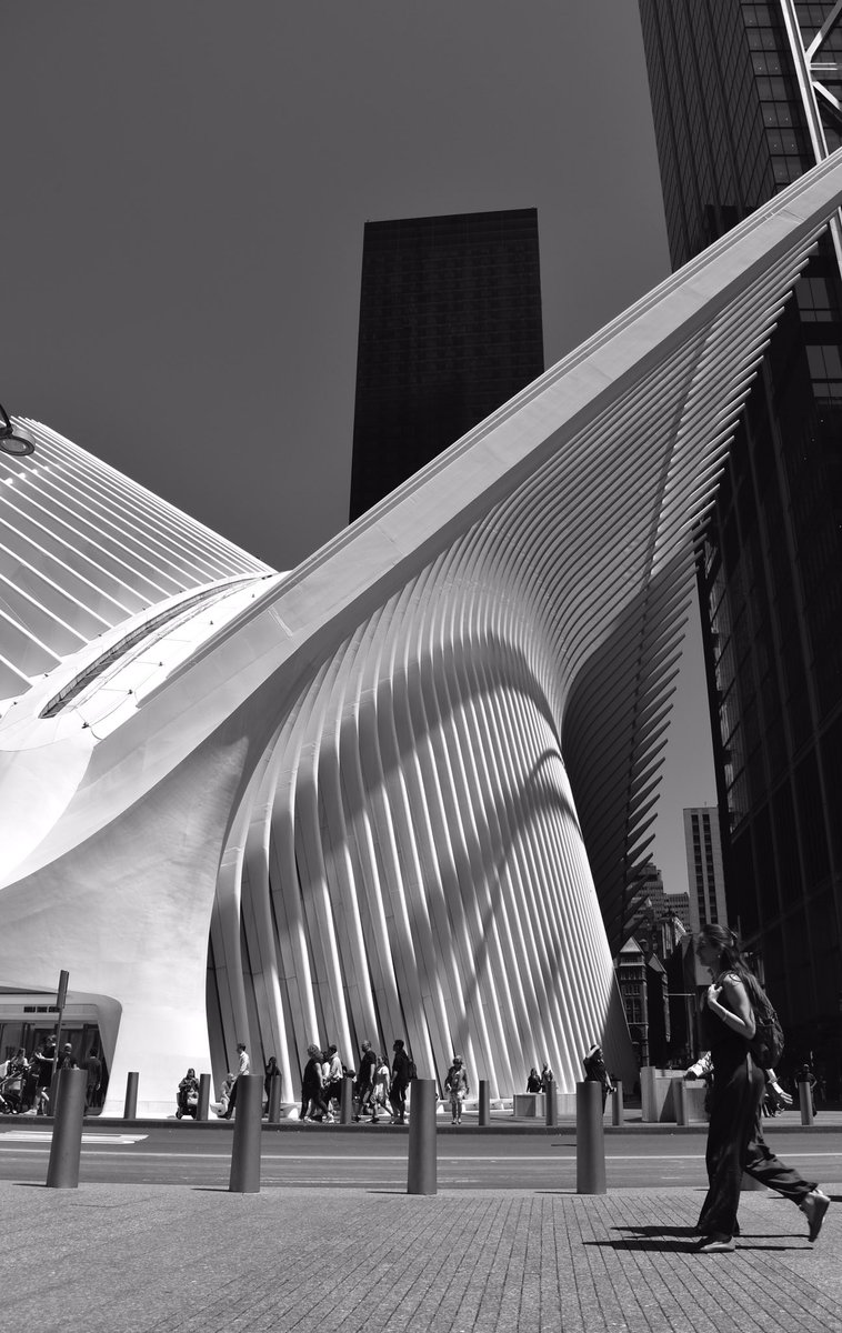 Carl_L_Conway's tweet image. The @oculus is an audacious symbol of hope. Ground yourself in #hope
photo credits @Urzula

#publicspaces #publicspacedesign #art #architecture #design #people #designart #wellbeing #travelblog #travelbloggers #sculpturedesign #cities #inspiration