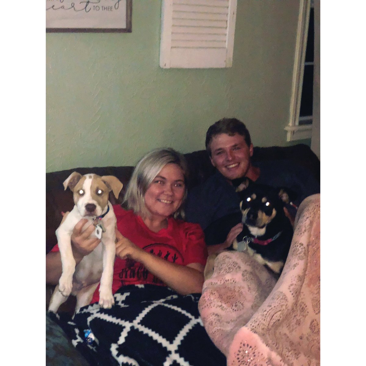chlobrooke27's tweet photo. I love my sweet little fam bam 💓🐶 #MomOfDogs https://t.co/MmonuqlcpE