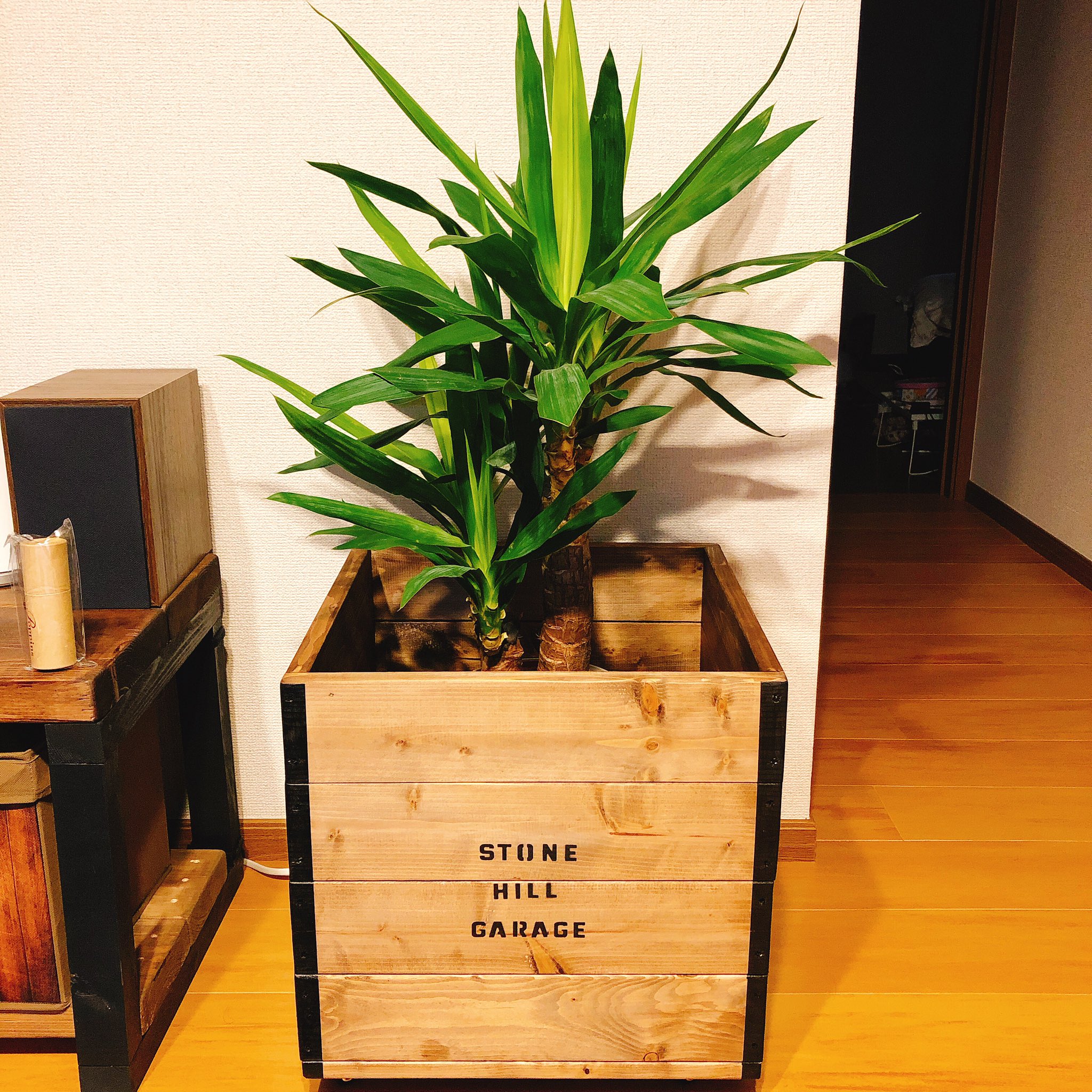 Twitter 上的 ストーンヒルガレージ Diyyoutube 成長期なので栄養剤入れてみました 木箱作ってあげたし 大きくなっておくれ 木箱 木箱リメイク Diycraft Diyer Diy女子 Diy男子 Diyers 日曜大工 木の箱 鉢カバー 鉢 カバーdiy かんようしょくぶつ