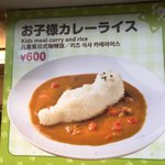 ねこ型ごはんが乗ったかわいいカレーかと思いきや？めっちゃ悲しい顔でこっちみてくる!