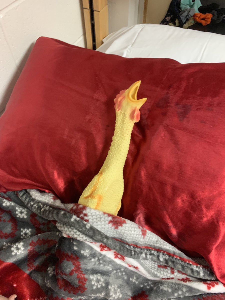 LiviBaguette's tweet photo. goodnight day one! Victor is all tuckered out from walking around Unviersity of Nebraska! #THESFEST19 #ITS90TH https://t.co/K2FhgtMlqL