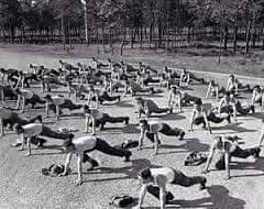 suraj_yadav2005's tweet photo. Hitler promoted Calisthenics as part of the "Mind and Body" policy for building physically able youth. These programs blanketed German schools, colleges and youth organizations. Mega annual events were regularly staged to promote the "Mind and Body"policy.

#DesiHitler 😂 https://t.co/Pwalg4z8C6