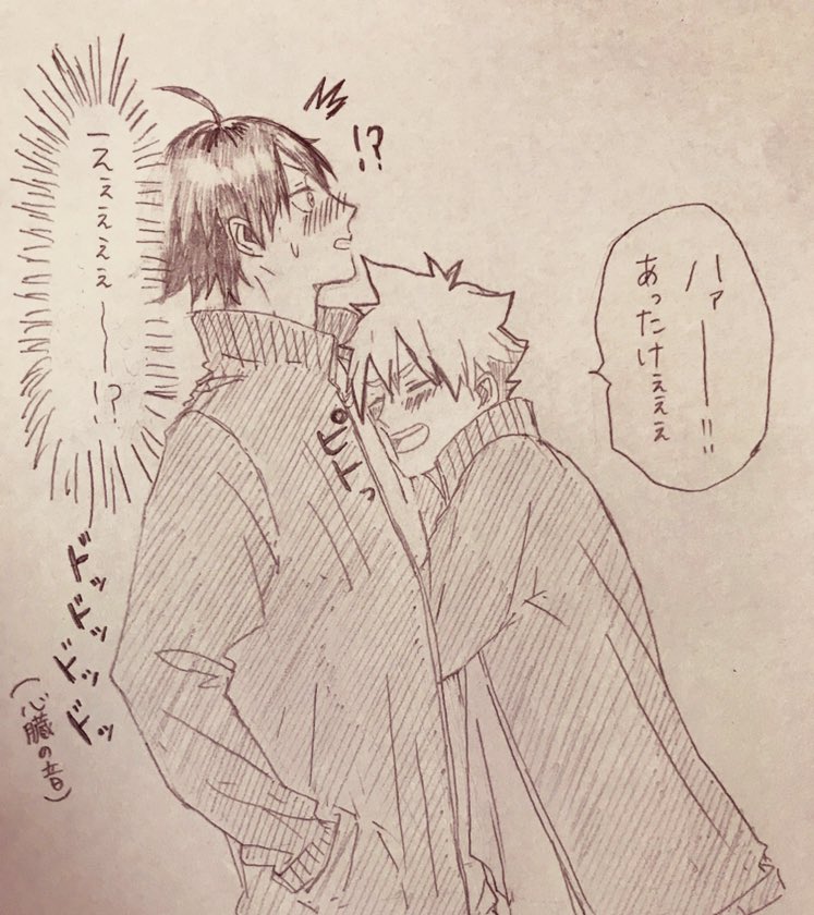 ただしで暖をとるひなた(やまひな) 