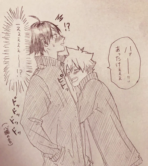 ただしで暖をとるひなた(やまひな) 