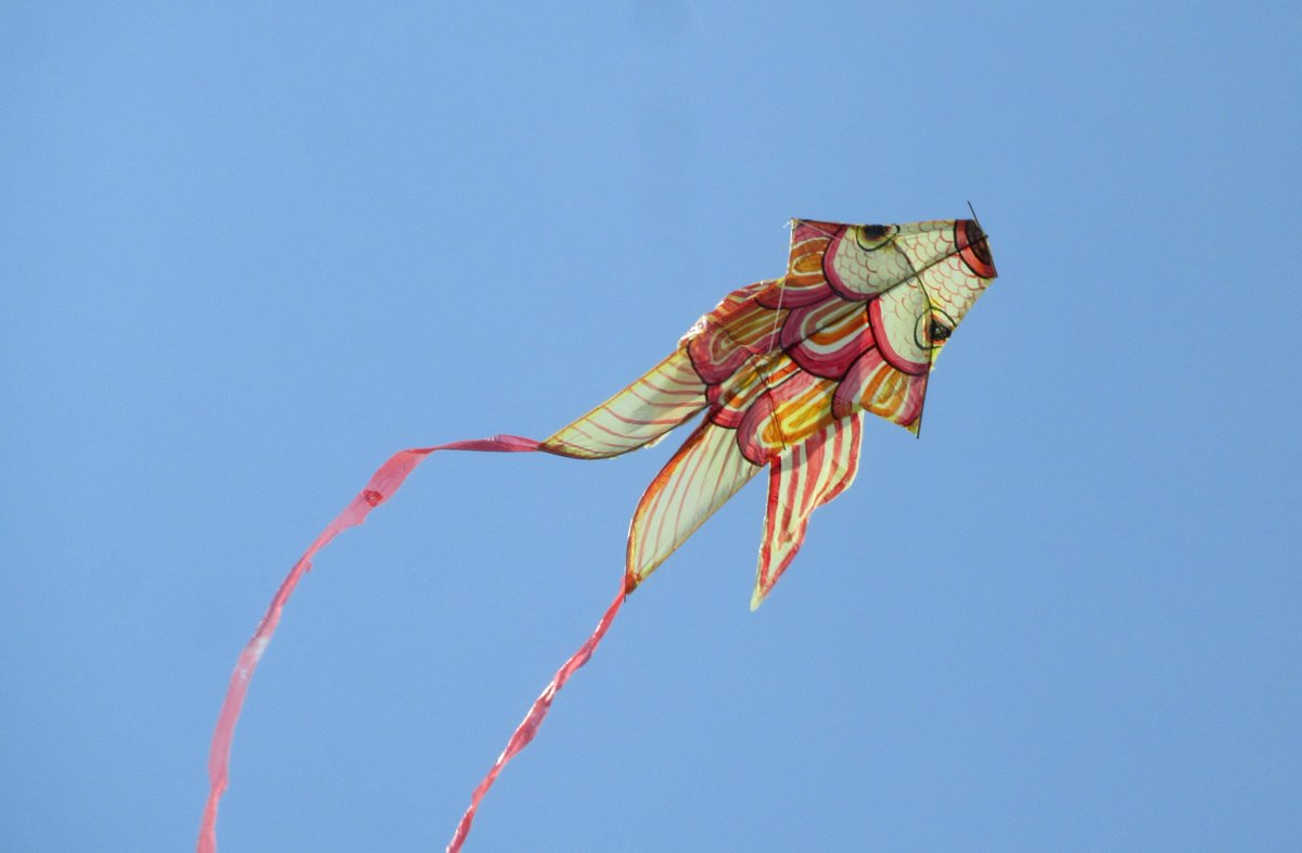 Layanglayang Hashtag On Twitter