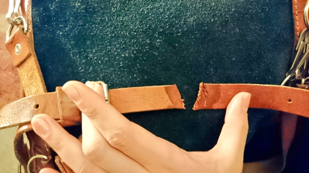 GCU Six of Seven tweet media