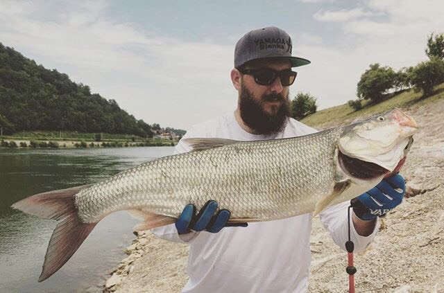 palms_global's tweet photo. First fishing report from Luka!
He caught Aspius in Slovenia 🇸🇮
Rod: Shore Gun EVOLV 103H+
Hvala Luka!!
#palms #palmsfishing #zetz #anglersrepublic #aspius #sloveniafishing #fishingslovenia @palms_japan @palms_global https://t.co/sN76Abueb0