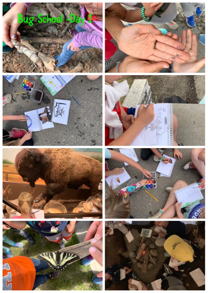 curiousFCS1s's tweet photo. Summer Inquiry in Fish Creek! So many bugs, amazing sketching and lots of wonders when we spent time at the visitor centre. #cbeearthplay #outdoored #getoutside https://t.co/Z0FBRuWsTS