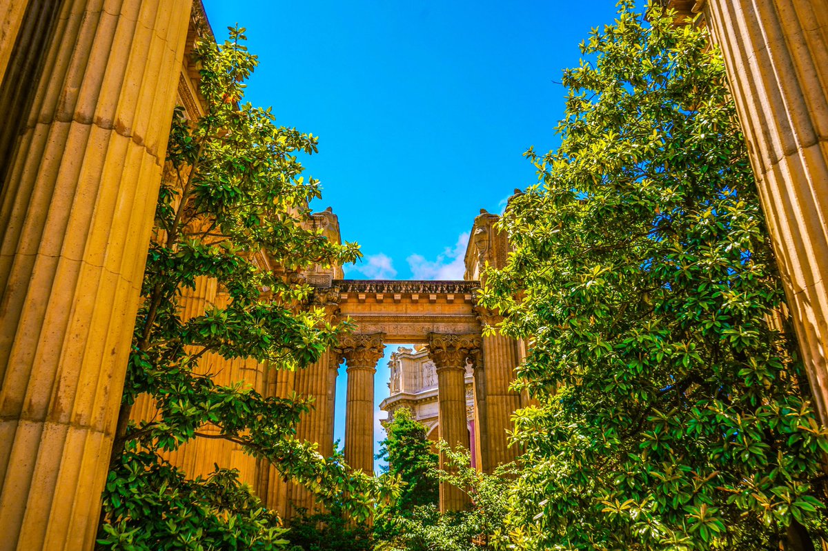 JTOfficiall's tweet photo. The Palace of Fine Arts Views #bayarea #sony #jt #visualss #sf #thepalaceoffinearts #cali #photographer #photography #instagood #instagram #a7iii #sundayfunday #freelancephotographer #camera📷 #green #twitter https://t.co/tetiVMLUHZ