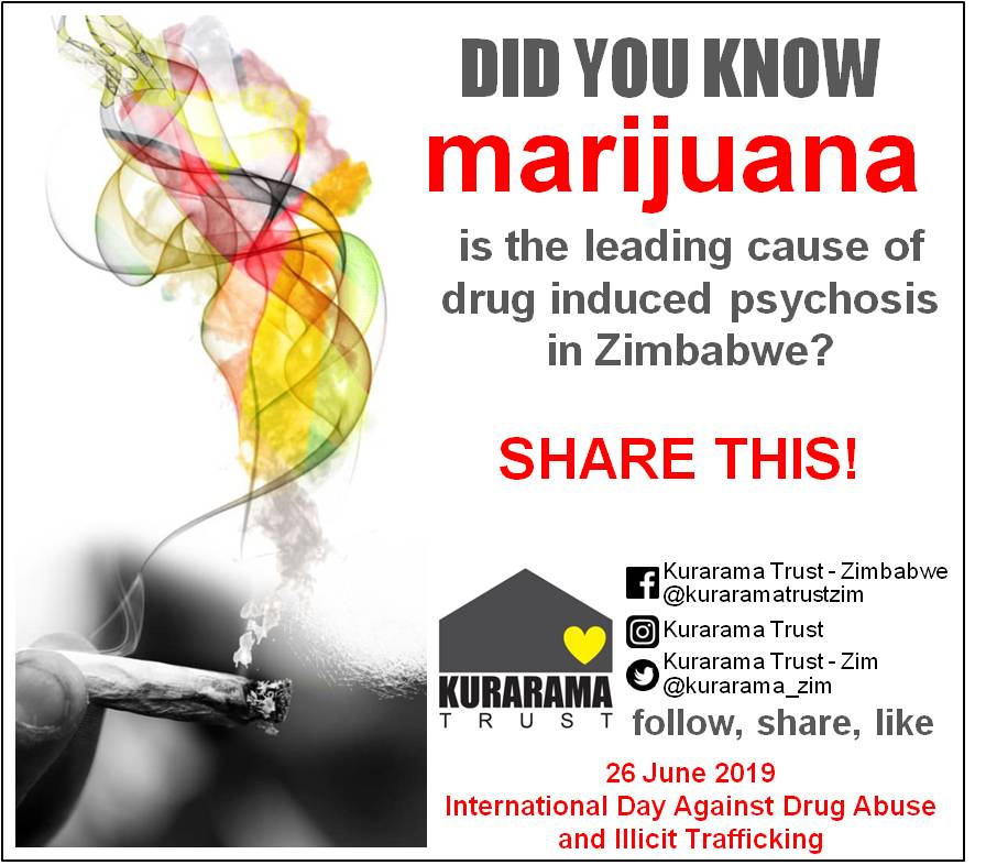 #marijuana leading cause of drug induced psychosis in #Zimbabwe @DRUGABUSE123 @ZimMedicalAssoc @263Chat @ZiFMStereo @UNODC @WHO @MoHCCZim @ChidoRwafa @DixonChibanda @YouthBench @friendshipbench @VictorKunonga @CadasaTrust